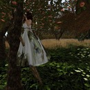 Thumb 54bd784df8a1ec42ae000001