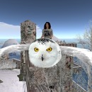 Thumb 54be4f828da5723d5d000001