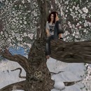 Thumb 54c59c98f8a1ec4280000001