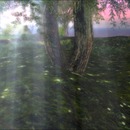 Thumb 56013b448da5724e1d000001