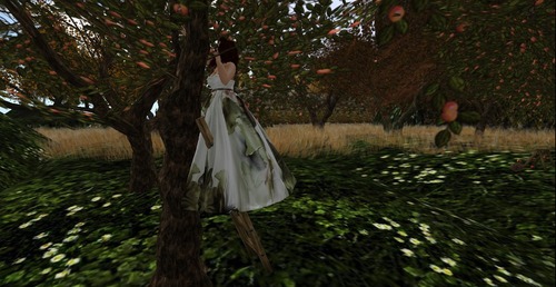 Web 54bd784df8a1ec42ae000001