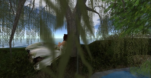 Web 54bd7dbe128cc93fd4000001