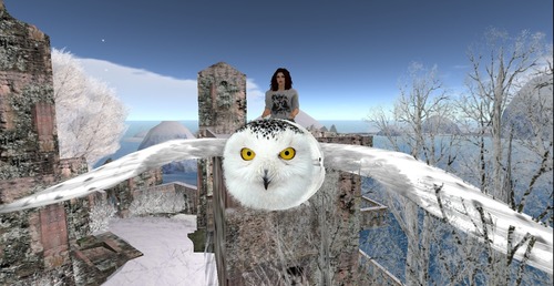 Web 54be4f828da5723d5d000001