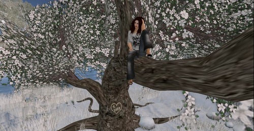 Web 54c59c98f8a1ec4280000001