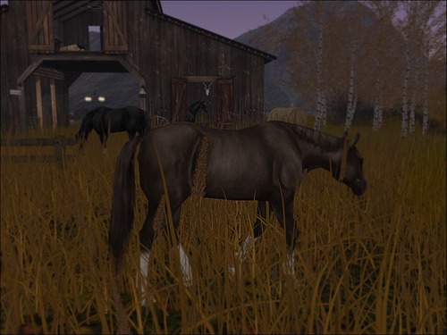 Web 561d6623128cc97f3c000001