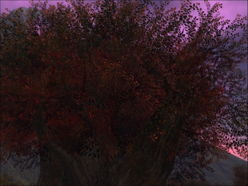 Web 561d67068da5721623000001