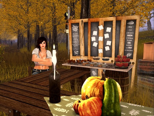 Web 561ebcc4128cc90aa4000001