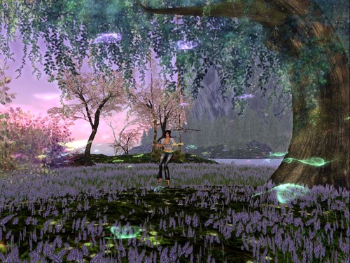 Web 562169c13f942f4c45000001