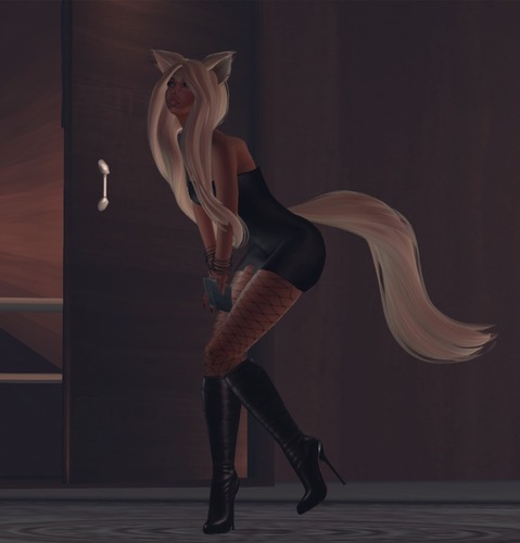 Web 5033d2e63dd2ba4626000001