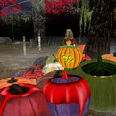 Thumb 509155849f68ab64d5000001