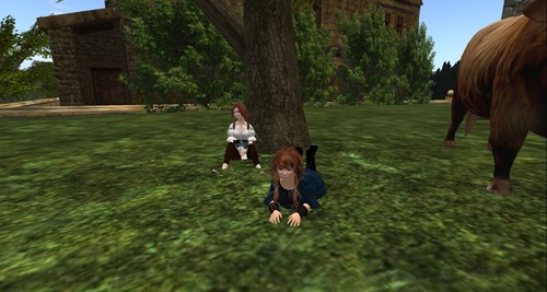 Web 53480365128cc92993000001