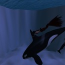 Thumb 50bfad646cb999441a000001