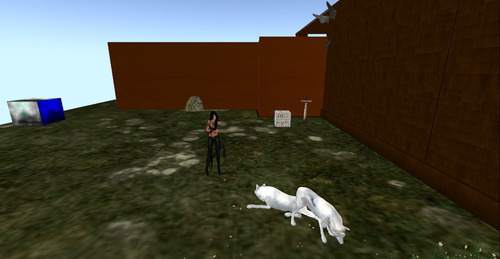 Web 64a9ffda352db0235d01e25e