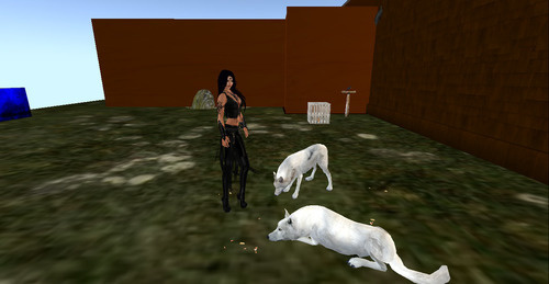 Web 64aa003593ab5a579f135bcb