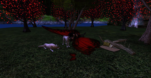 Web 64b1e7887fb1aa6de6a1a930