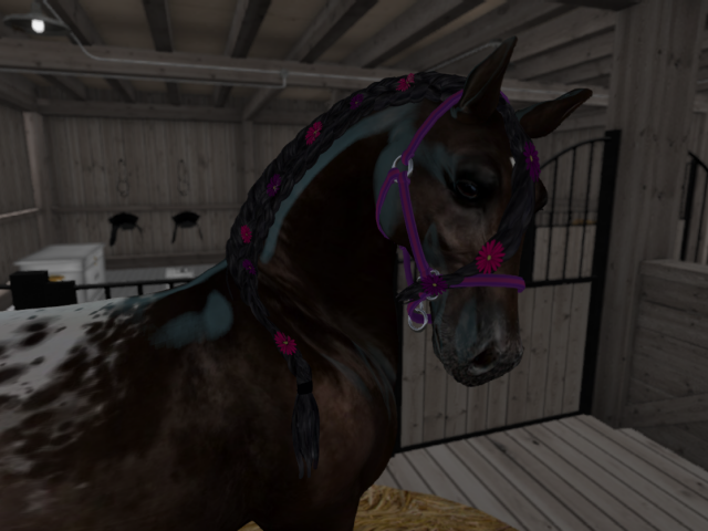 Original 5b203ca9289dd26779000001