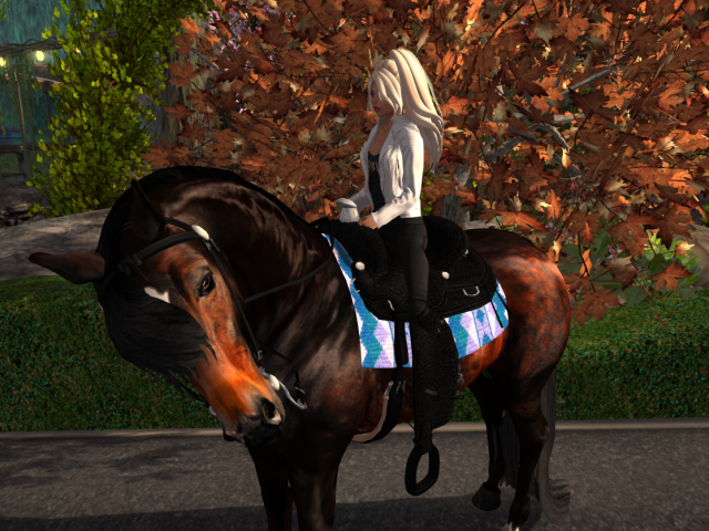 Original 5c05aa05d9859c6524000001