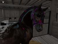 Small 5b203ca9289dd26779000001