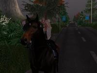 Small 5c05afe973ed174d6f000001