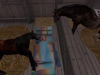 Small 5c05c3fd73ed17582b000001