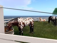 Small 5f0cce4873ed177b0f58b0bf