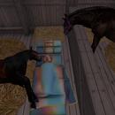 Thumb 5c05c3fd73ed17582b000001