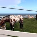 Thumb 5f0cce4873ed177b0f58b0bf