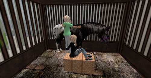 Web 51db9615f0d577117c000001