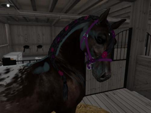 Web 5b203ca9289dd26779000001