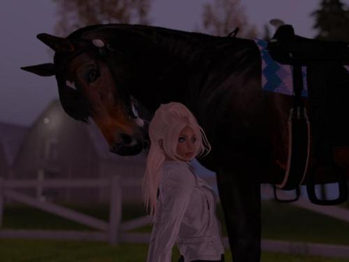 Web 5c05bc3ad774f8197e000001