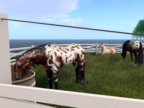 Web 5f0cce4873ed177b0f58b0bf