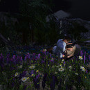 Thumb 63798e6cf7069f62b80f9a29