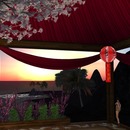 Thumb 51171ec0702a1d4c89000001