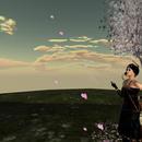 Thumb 61e7b29845b3dc6056a30506