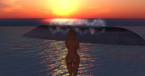 Web 5114c857470f7e52b1000001