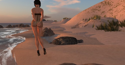 Web 511836f79c236052bb000001