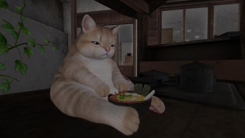 Web 61eb6a8b92aca274a72a7733