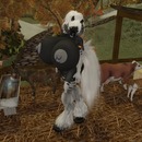 Thumb 562fb251128cc914e5000001