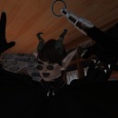 Thumb 582ca0dfb015400a50000001