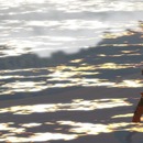 Thumb 53f88e24f8a1ec036b000001