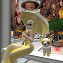 Thumb 55a0de86a73e210a2a000001