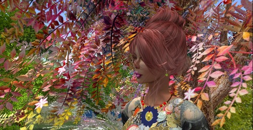 Web 524ad7dbe212275101000001