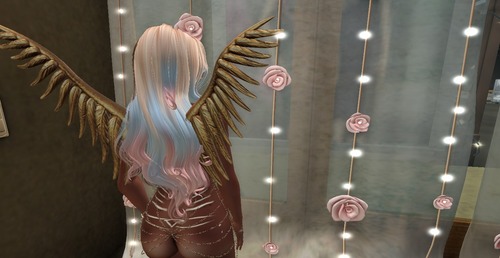 Web 57167f93b713f7302a000001