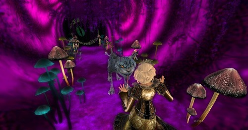 Web 52e22b5aa73e21312e000001