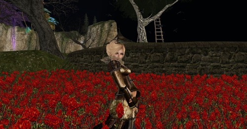 Web 52e23126f8a1ec7b3e000001