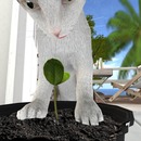 Thumb 58417e17b0154005ae000001