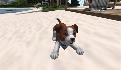 Web 58dfc808289dd27048000001