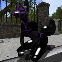 Small 63d3d02eb3f6ee279bbcf1ce