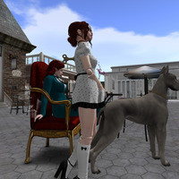 Small 63d983286c936665f50dd461