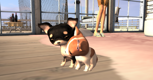 Original 58f42495289dd21614000001